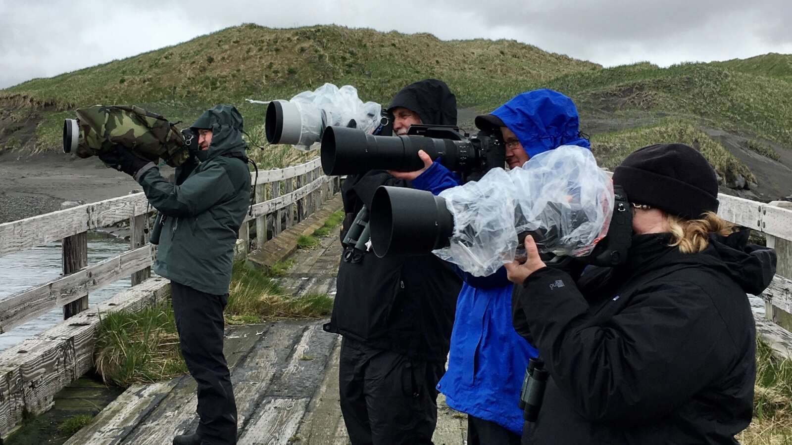 Birders photographing Bald Eagles in Alaska.