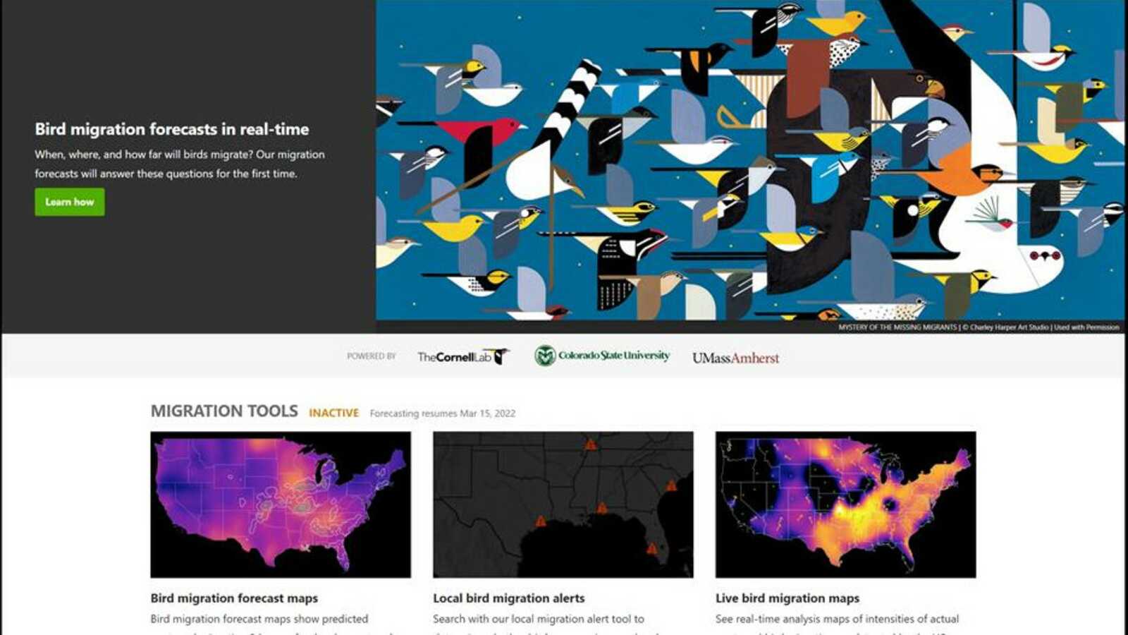 Splash page for BirdCast